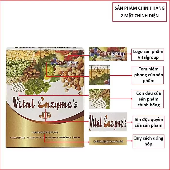 64a667b3-1779-4bc2-b0a8-a297647756b9-png Hình ảnh nhận diện thương hiệu sản phẩm Vital Enzyme chính hãng