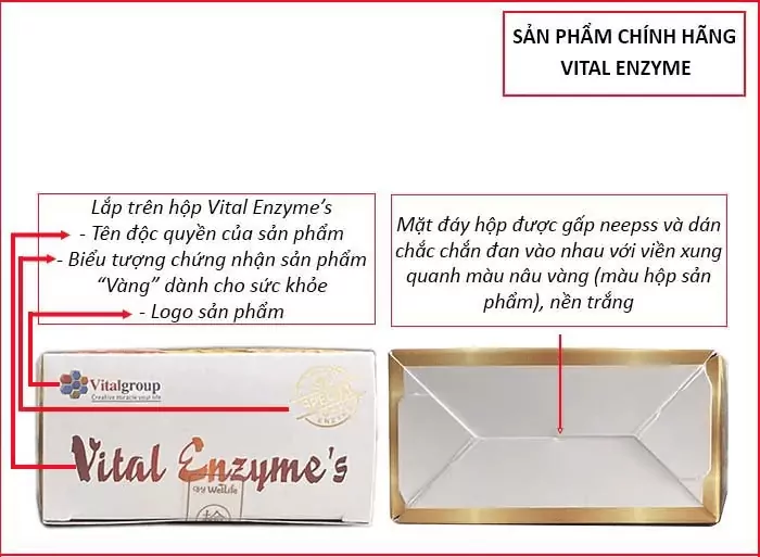 9b7184c0-51ba-4f28-94dd-62bb35c84905-png Thông tin trên nắp hộp và đáy hộp sản phẩm Vital Enzyme's