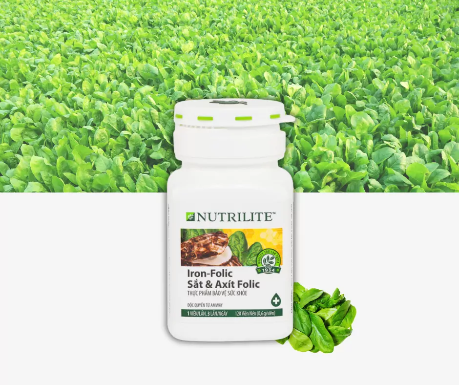 Nutrilite Iron Folic có chứa thành phần bột đông khô rau bina