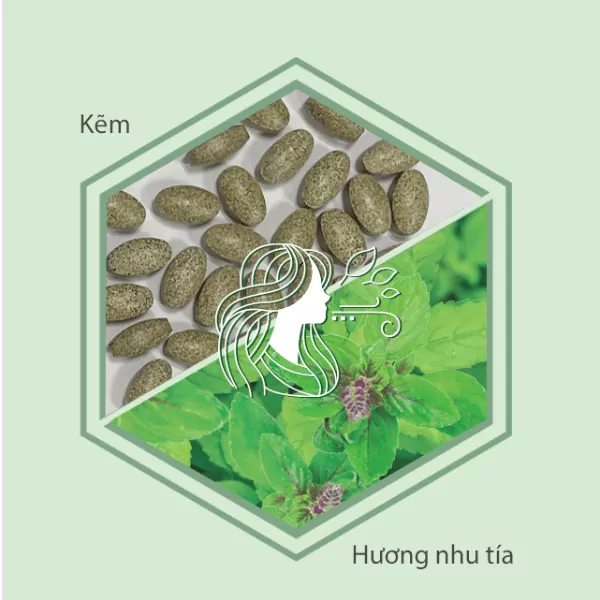 Sự kết hợp giữa kẽm và hương nhu tía trong thành phần giúp mang đến hiệu quả hỗ trợ hô hấp tốt hơn