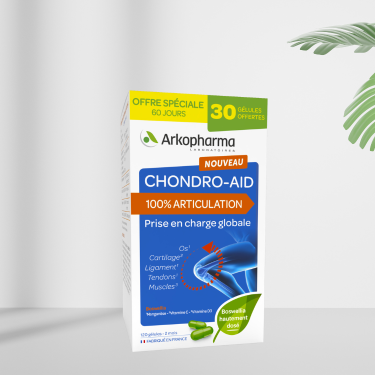 chondro aid chinh hang 1