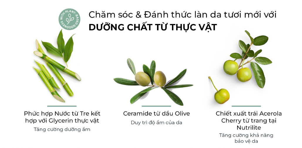 duong the gh amway 3