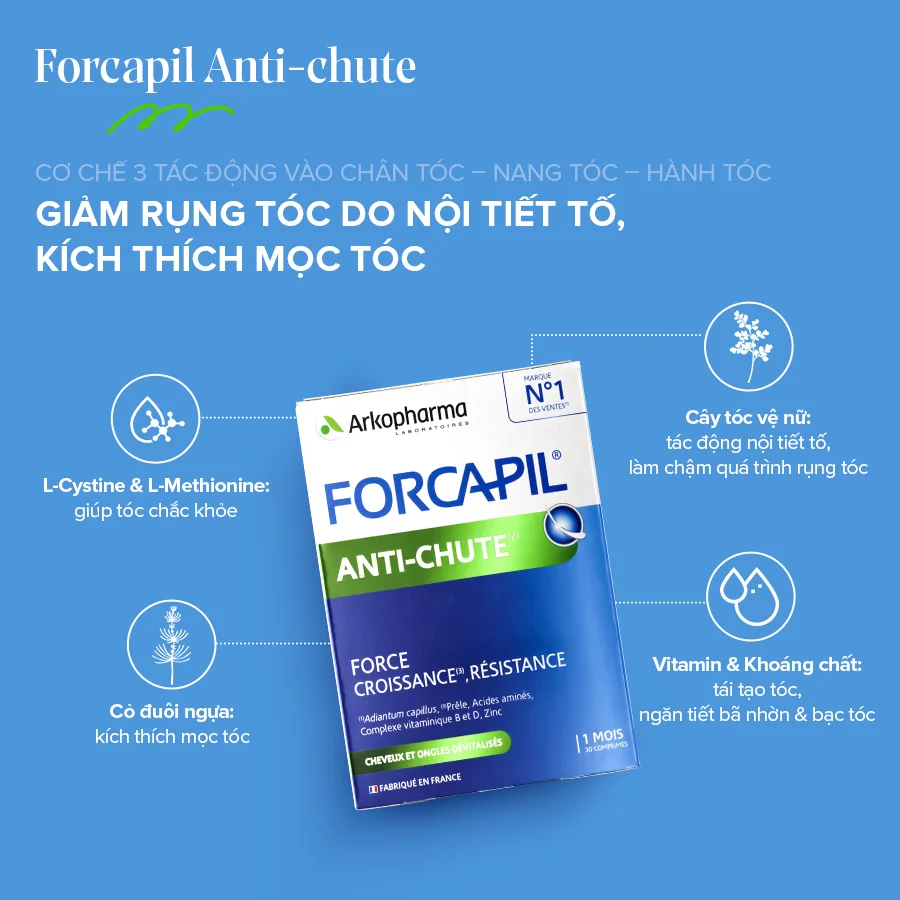 forcapil anti chute 1