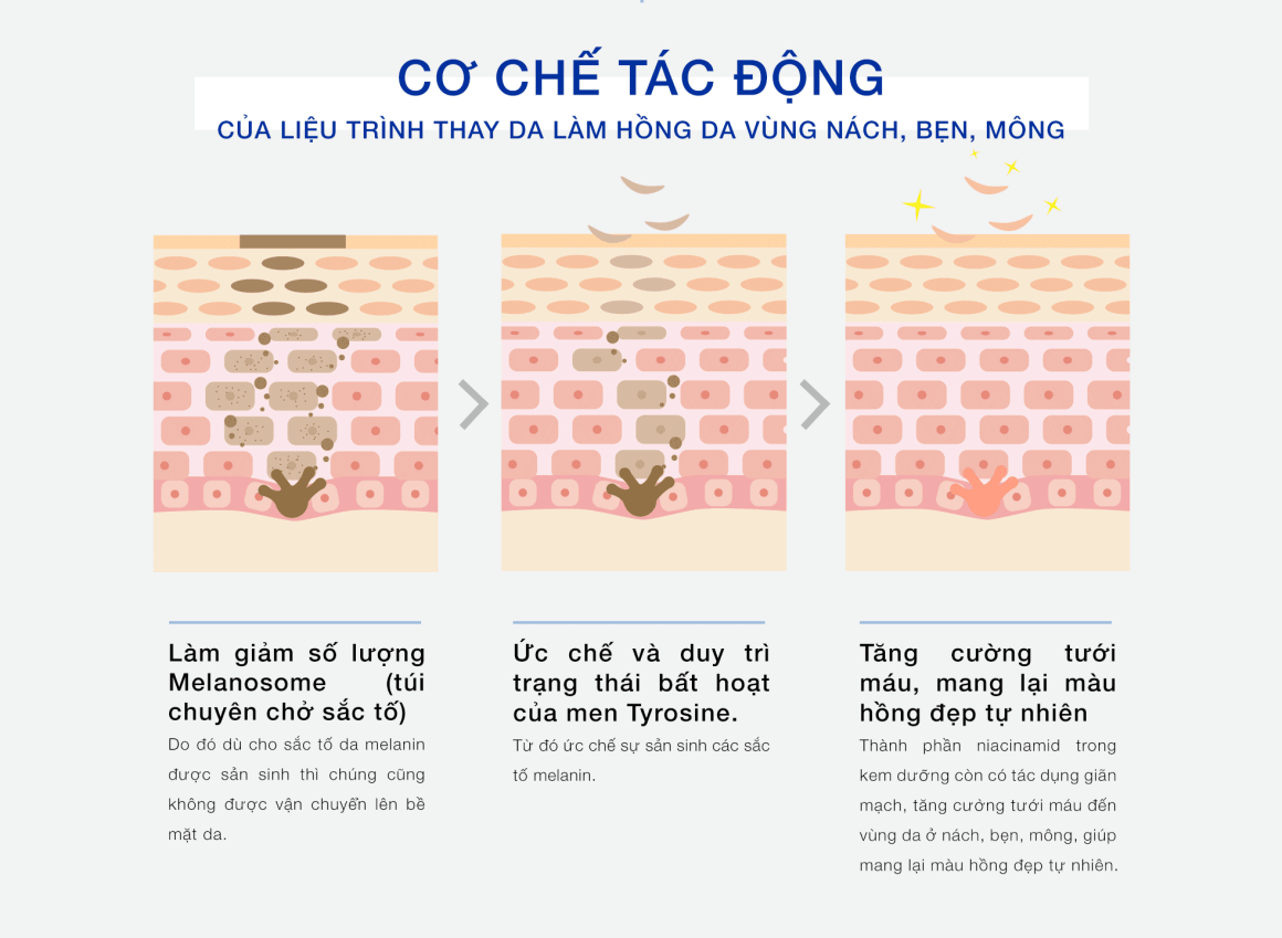 h6 congdung e1730452968763 1