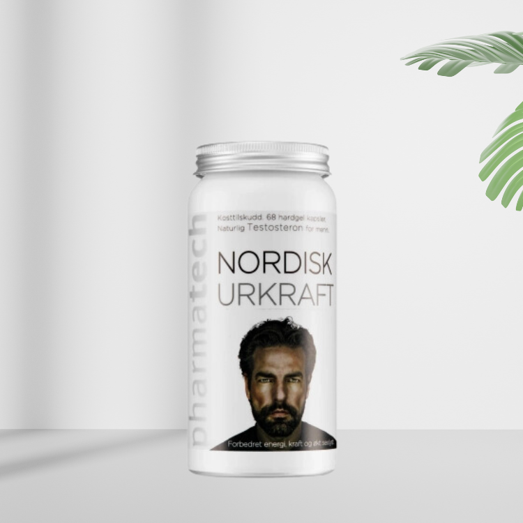 nordisk urkraft chinh hang 1
