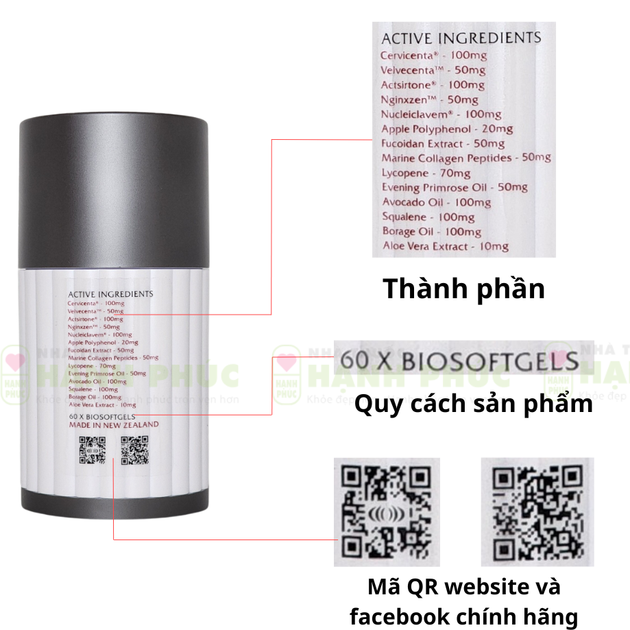 phan biet purtier 4 1