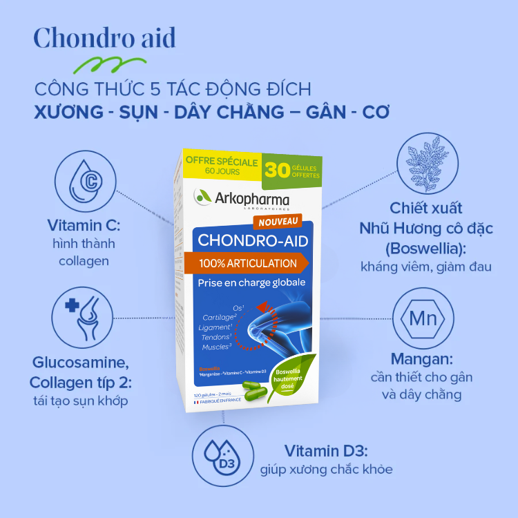san pham chondro aid 1