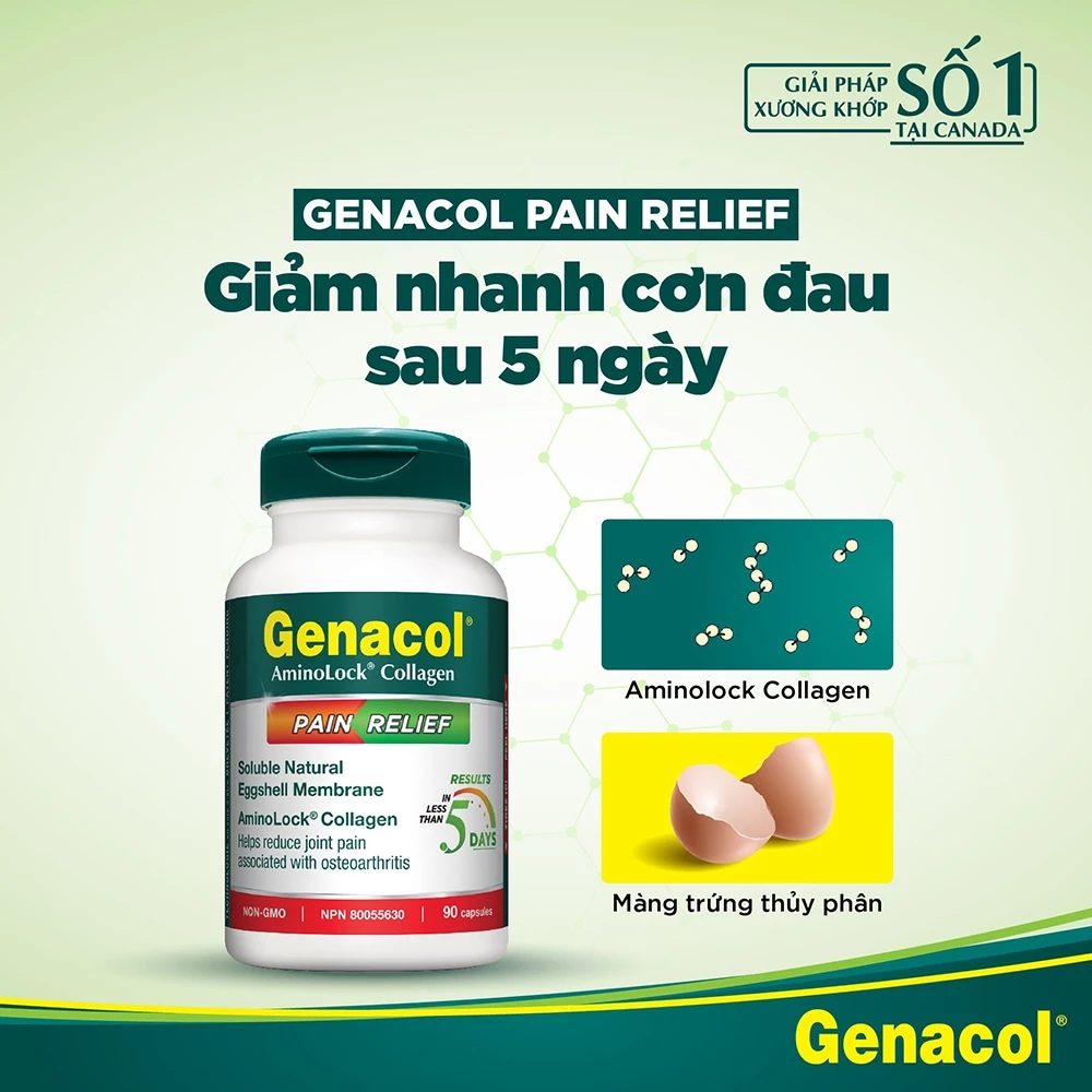 thanh phan genacol pain relief 1