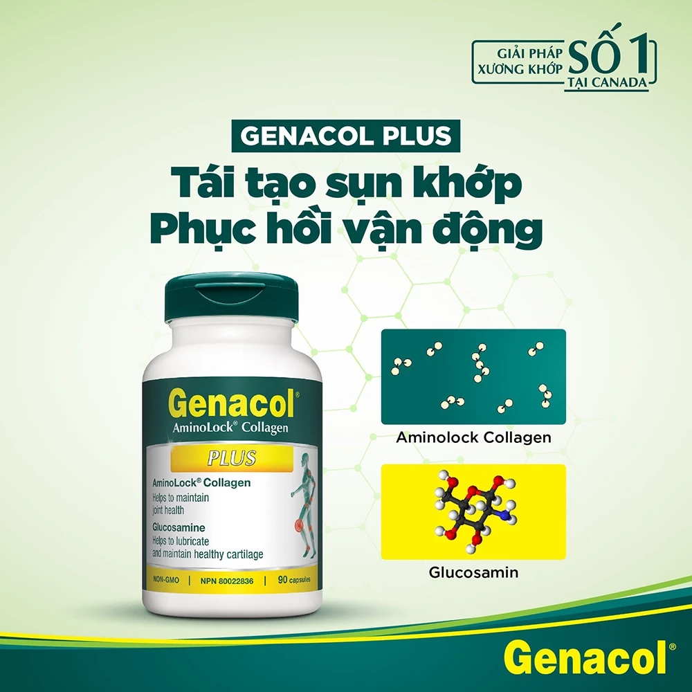 thanh phan genacol plus 1