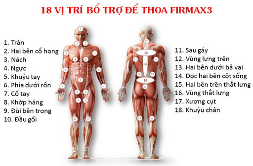 vi tri thoa firmax3 1