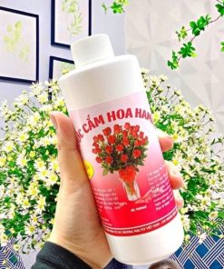 Nước Cắm Hoa Tươi Lọ 400ml – Gdn