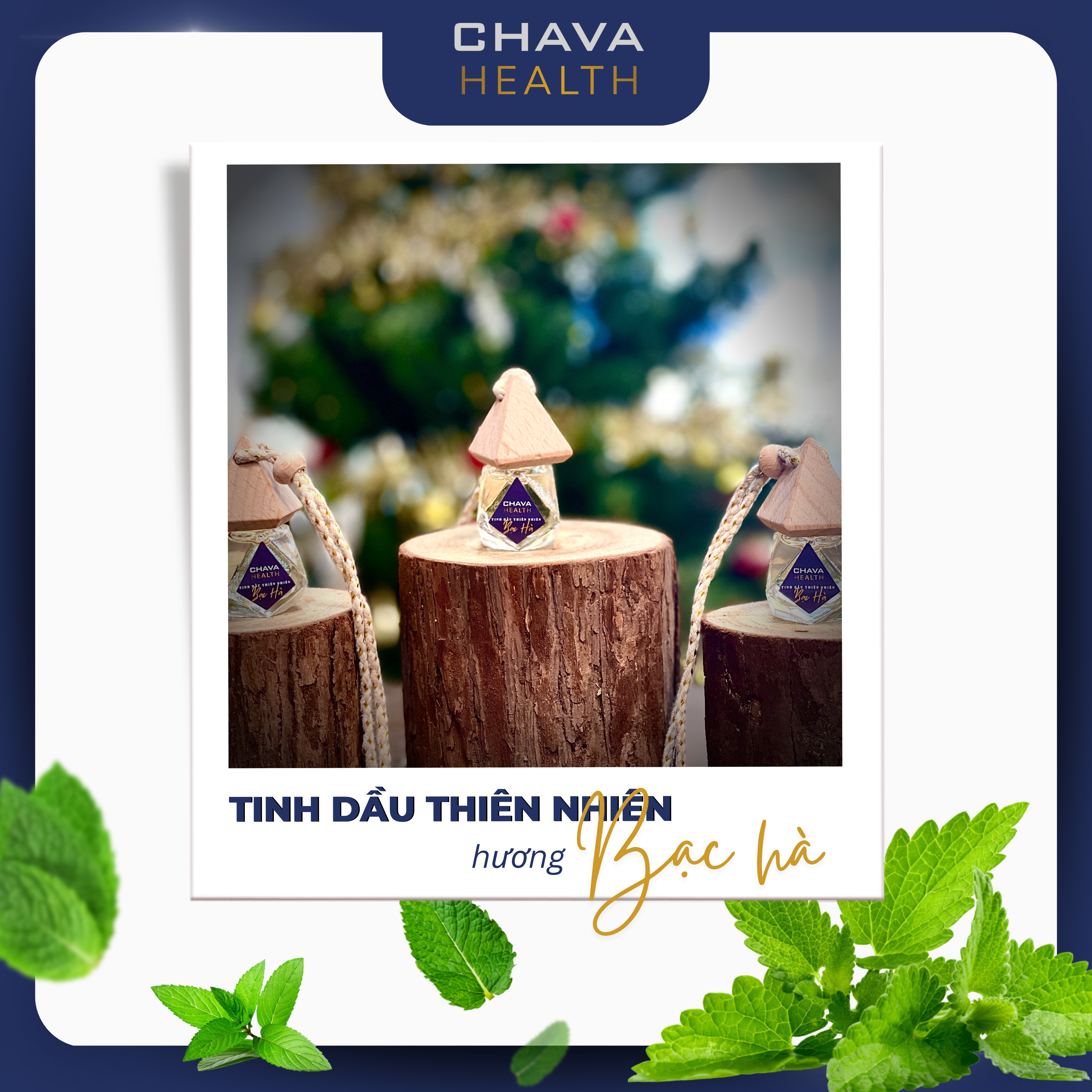 Tinh Dầu Thiên Nhiên Treo Xe Hơi Hương Bạc Hà 10ml – Chava