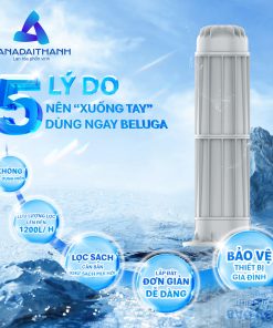 Bộ lọc đầu nguồn Beluga B2.1-250