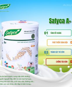 Bữa ăn lành mạnh Satyca A+