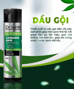 Dầu gội chăm sóc tóc chuyên sâu, phục hồi hư tổn – Cannabis Hair