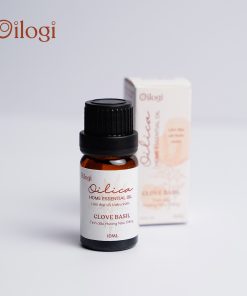 Tinh dầu hương nhu trắng- Clove basil oil