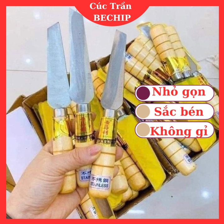 Dao Gọt Hoa Quả Cắt Trái Cây Mini Siêu Bén, Không Gỉ Ctb491 – Bechip