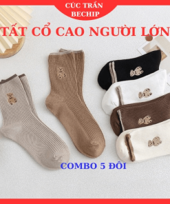 Combo 5 đôi Tất Người Lớn Cổ Cao Thời Trang Hàn Quốc Ctb04 – Bechip