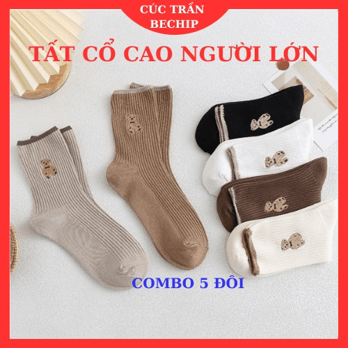 Combo 5 đôi Tất Người Lớn Cổ Cao Thời Trang Hàn Quốc Ctb04 – Bechip