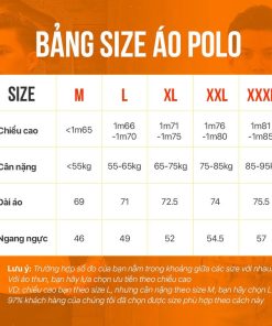 áo Thun Cổ Bẻ Thiết Kế Cao Cấp Pack P – Thời Trang Hc