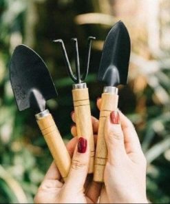Bộ Cuốc Xẻng Làm Vườn Mini 3 Món