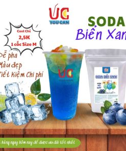 Soda Biển Xanh Bột Hòa Tan Hương Việt Quất, Nước Uống Giải Khát Có Gas, Không Cần Siro, Thơm Ngon Túi 500gr – Lady’s Passion