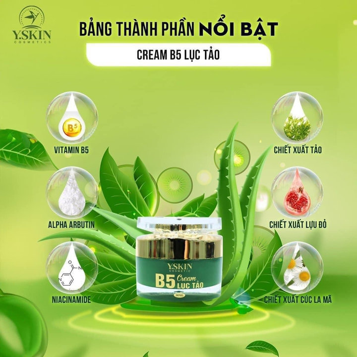 Kem Dưỡng Trắng Da B5 Lục Tảo – Yskin