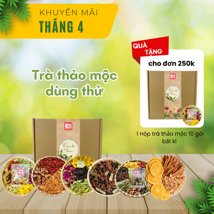 Trà Thảo Mộc An Thần Ngủ Ngon Gói Dùng Thử – Bamboo