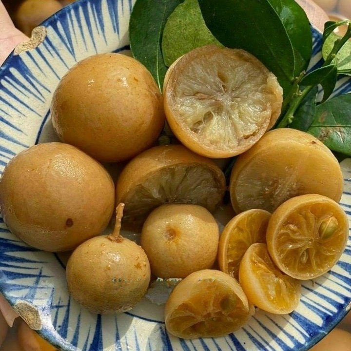Chanh Muối Ngâm đường Phèn Giải Nhiệt Ngày Nắng Nóng – Winnie House