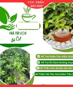 Trà Lá ổi Giảm Cân Túi Lọc, Bay Xẹp Bụng, Thon Gọn Dáng, Set 10 Túi Ctb753 – Bechip