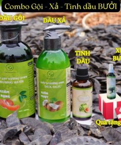 Combo Tóc Dành Cho Tóc Rụng Gồm 3 Chai Tặng 1 Xịt Bưởi – Tm Oganic