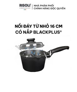 Nồi Nấu Chống Dính Chất Liệu Nhôm Hợp Kim – 00095bpin/16 – Risolì