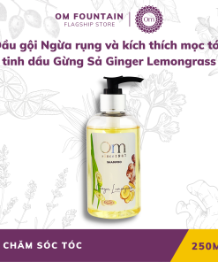 Dầu Gội Ngừa Rụng Và Kích Thích Mọc Tóc Tinh Dầu Gừng Sẻ & Sả Ginger Lemongrass 250ml – Om Fountain