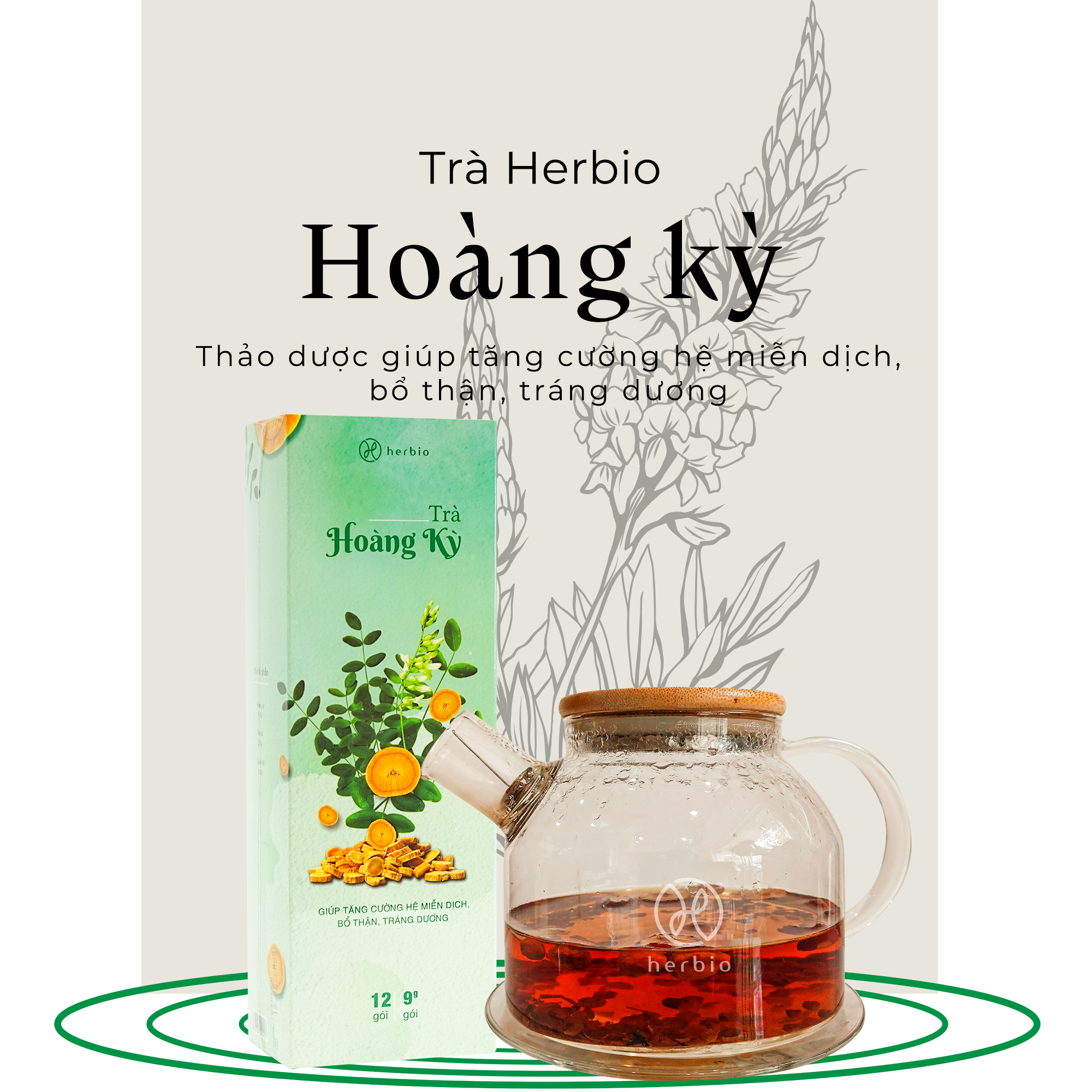 Trà Hoàng Kỳ – Herbio