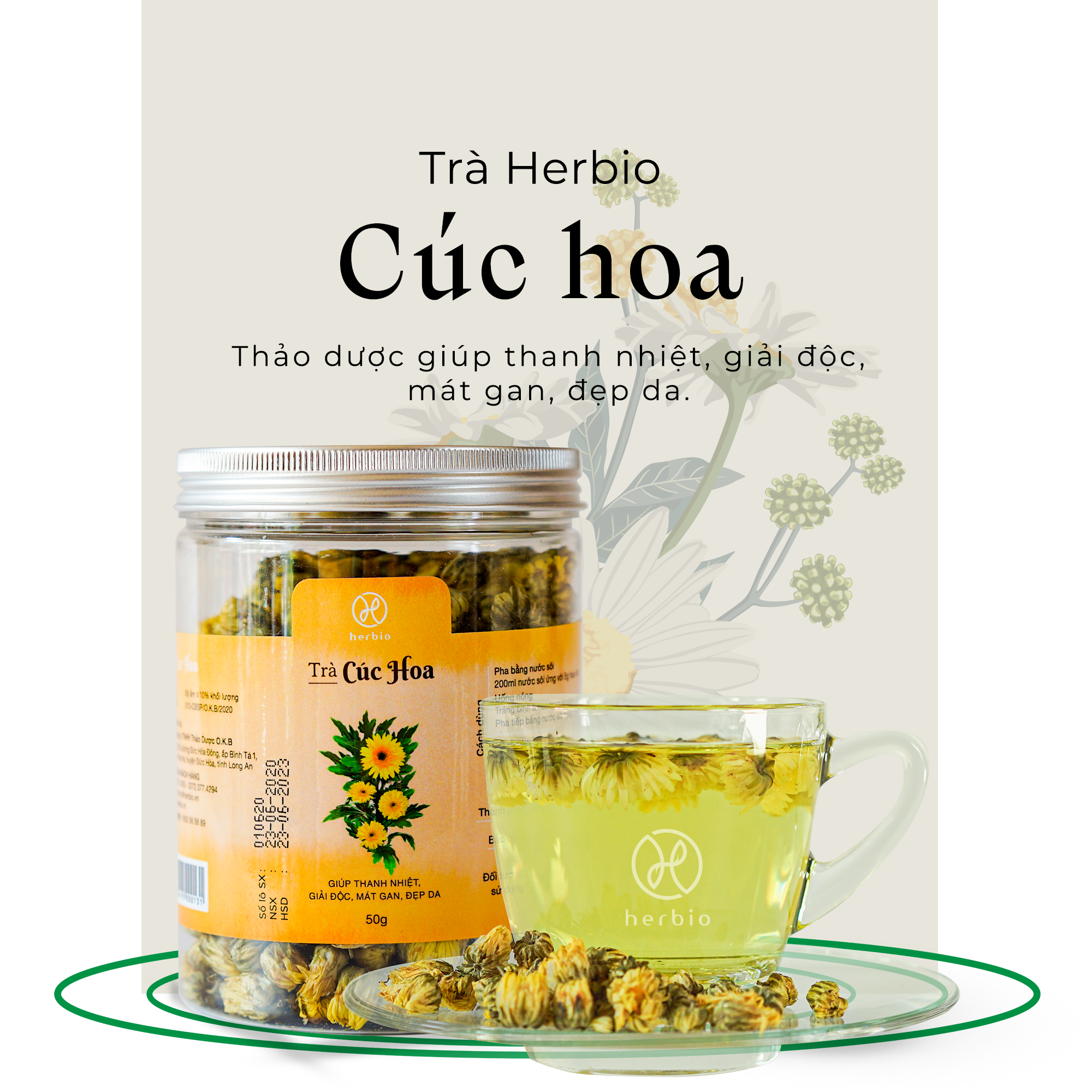 Trà Cúc Hoa 50g – Herbio