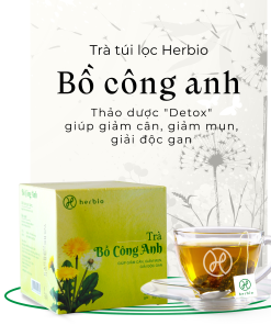 Trà Bồ Công Anh Túi Lọc – Herbio