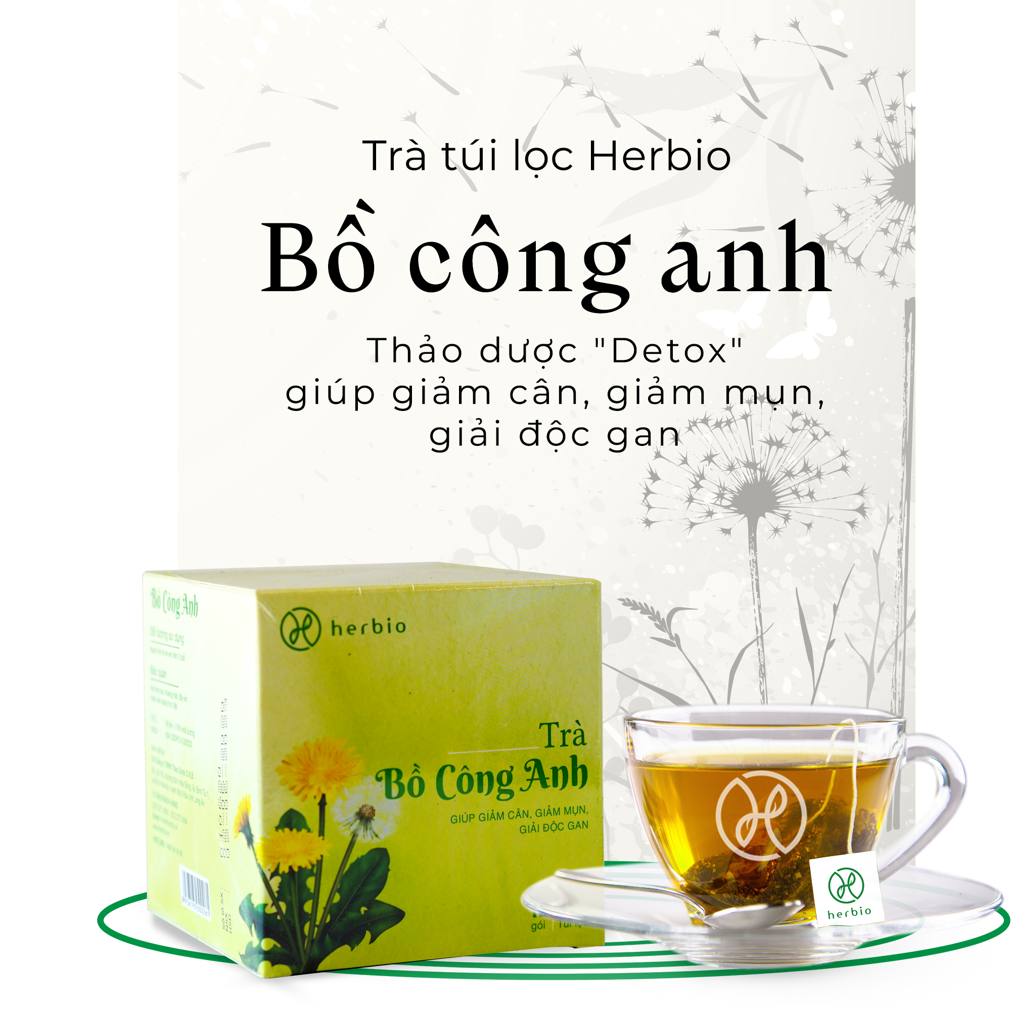 Trà Bồ Công Anh Túi Lọc – Herbio