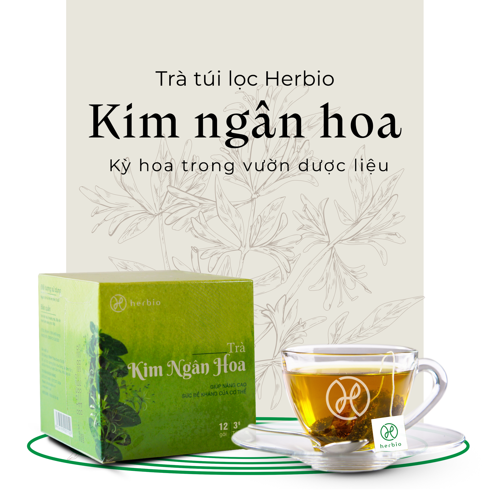 Trà Kim Ngân Hoa Túi Lọc – Herbio