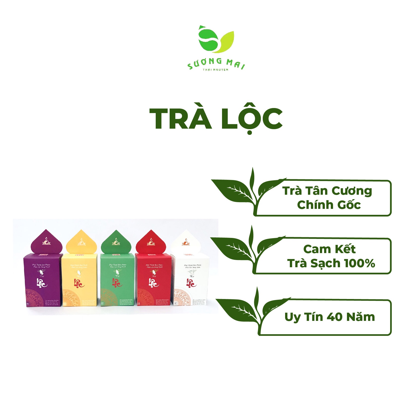 Trà Xanh Phúc Lộc – Sương Mai