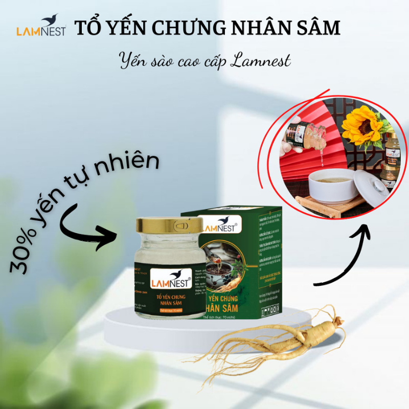 Tổ Yến Chưng Nhân Sâm – Lamnest