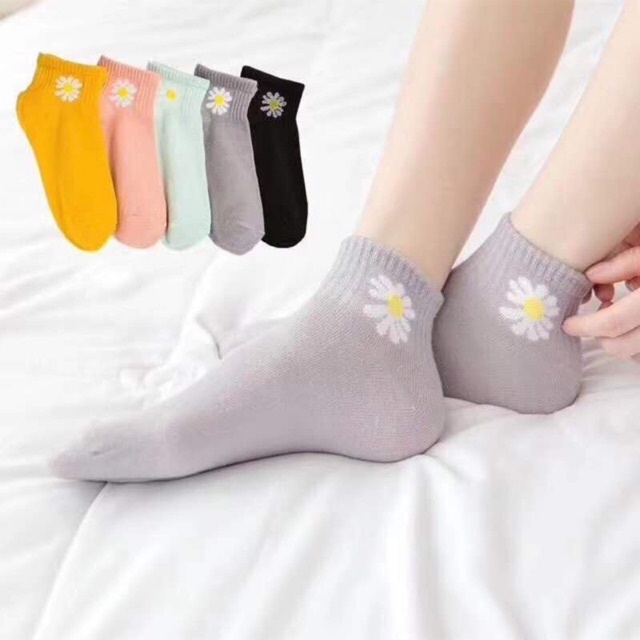 Set 10 đôi Tất Cổ Ngắn Cúc Hoạ Mi Kèm Túi Dây Rút Siêu Hot – Dmastore