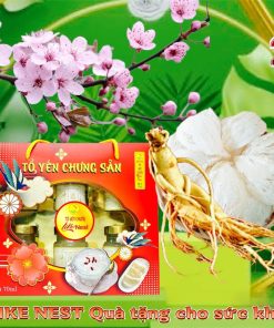 [giỏ Quà 6 Hủ Tặng 1 Hủ Yến Lẻ] Yến Chưng Nhân Sâm 35% Yến Like Nest – Like Beauty