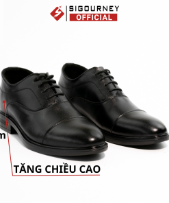 Giày Nam Tăng Chiều Cao 6cm Sig-33 – Sigourney