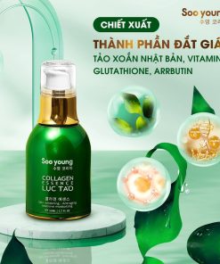 Serum Lục Tảo Collagen Essence – Soo Young