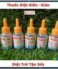 Set 5, 10 Lọ Thuốc Diệt Kiến Gián Sinh Học Hiệu Quả Ctb165 – Bechip