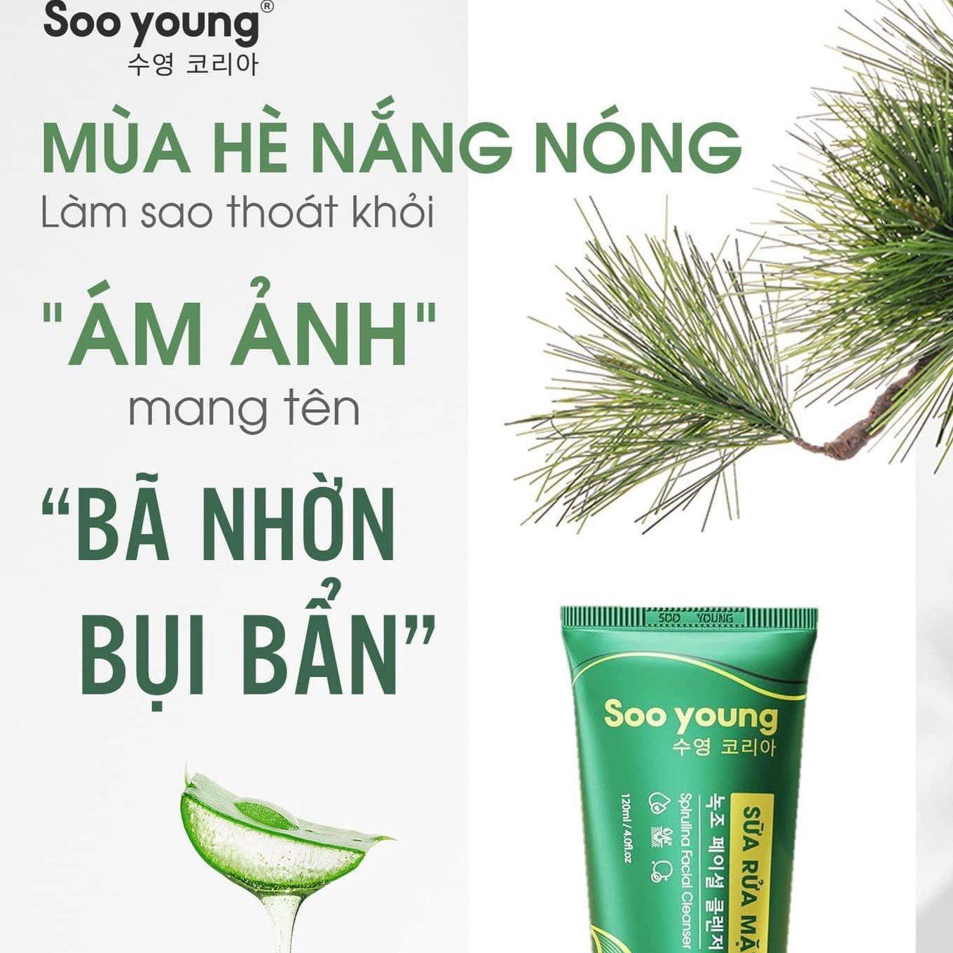 Sữa Rửa Mặt Lục Tảo_soo Young