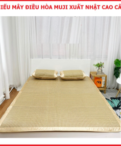 Chiếu Mây điều Hòa Mây Hoa Long, Viền Lụa Cao Cấp, Tặng Kèm 2 Vỏ Gối Ctb229 – Bechip