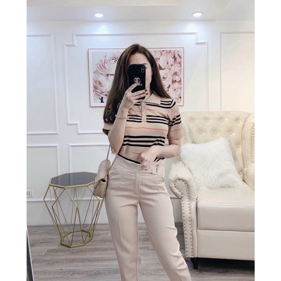áo Len Ngắn Tay Cổ Bẻ Kẻ Bbr Hot Trend Slcxa175 – Chipxinhxk