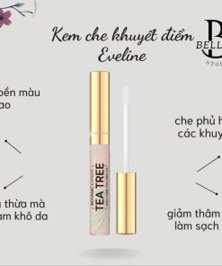 Kem Che Khuyết điểm Eveline 2in1 (dạng đầu Cọ) B978 – Bell22 Store