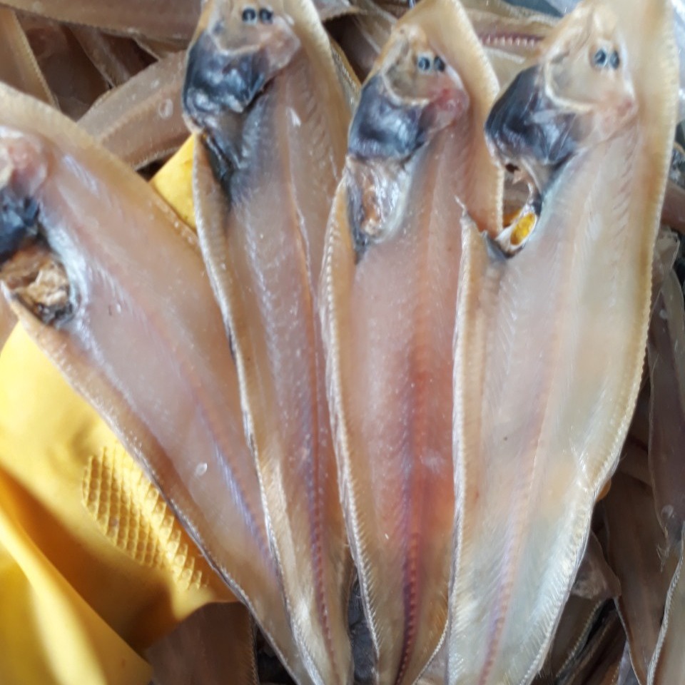 Khô Cá Lưỡi Trâu Vị Mặn Vừa 500g – Vựa Khô Bến Tre